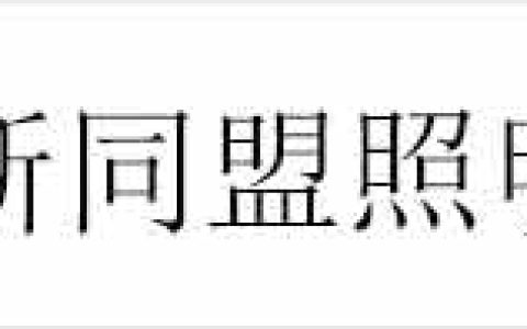广西新同盟照明工程有限公司-机械百科